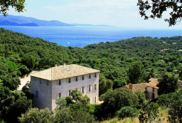 Thierry Lefort - Château Bénat