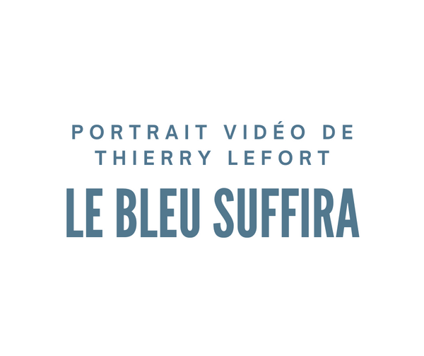 Thierry Lefort - Le bleu suffira